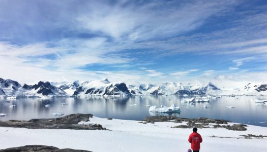 Journey To The Seventh Continent with IVY: What To Pack, How To Get There and What You’ll See in Antarctica